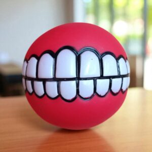 7037 Pelota Dentadura Pet Toy
