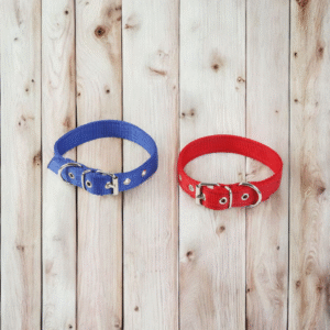 7051 Collar Cinta S  (45x2)