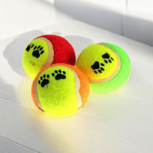 7097 Set 3 Pelotas Tennis Pet