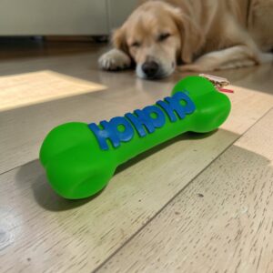 7153 Hueso de Goma Fetch