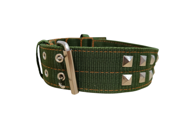 7243 Collar Reforzado Doble Hebilla - Imagen 2