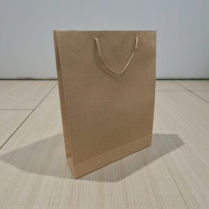 3704 Bolsa para regalo cartón lisa 31x23,5cm (vta mínima 12 unid)