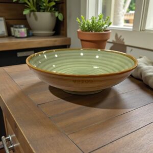 45100 Bowl cerámica chato combinado 21×5,5cm